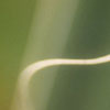 Paintings: image 7 0f 10 thumb